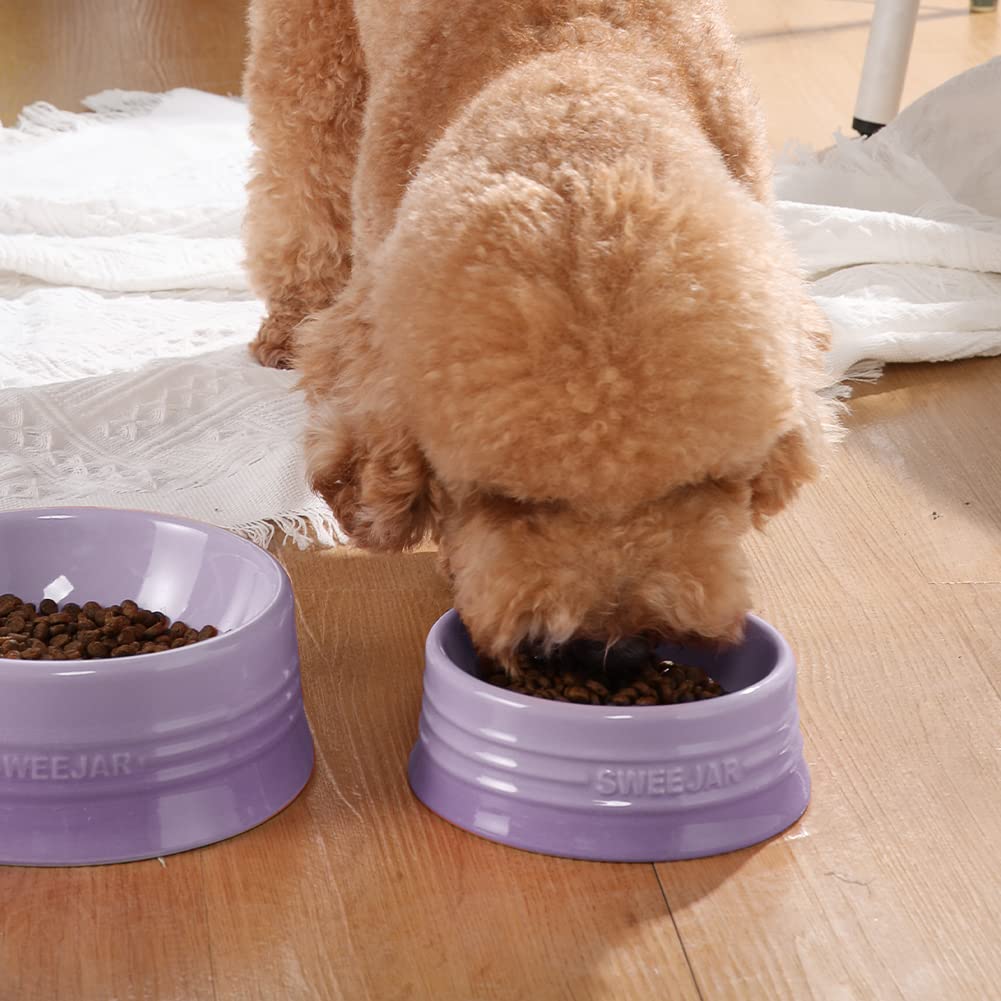 Cuenco de Cerámica SWEEJAR Morado para Perros y Gatos Medianos