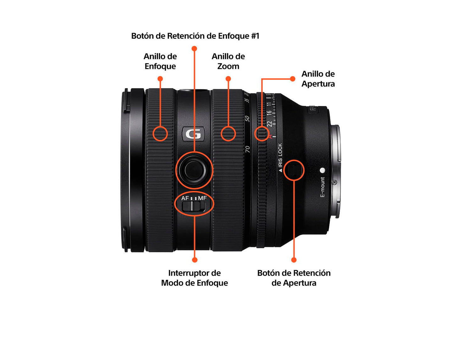 Lente E Sony FE 20-70 mm f/4 G