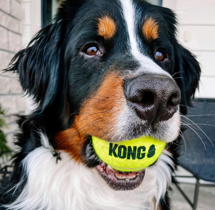 KONG Air Squeaker Tennis Balls