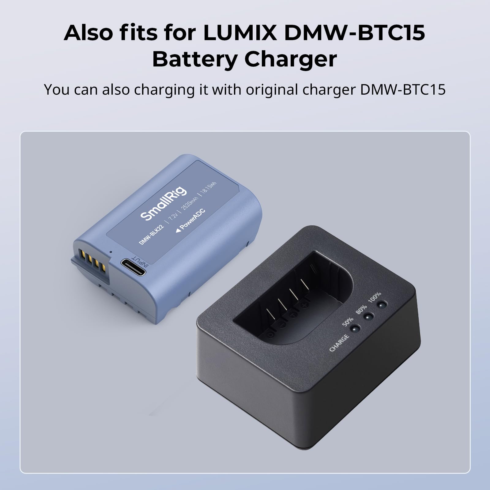 Batería de Repuesto SMALLRIG 2520 mAh USB-C para Panasonic DMW-BLK22