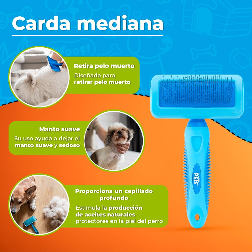 Carda Fancypets Azul Tamaño Mediano para Perro
