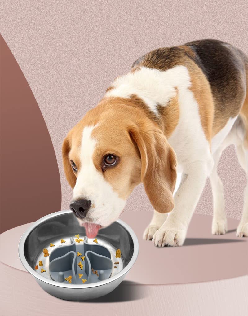 Recipiente de Alimentador Lento Doweiss Gris con Ventosas para Mascotas