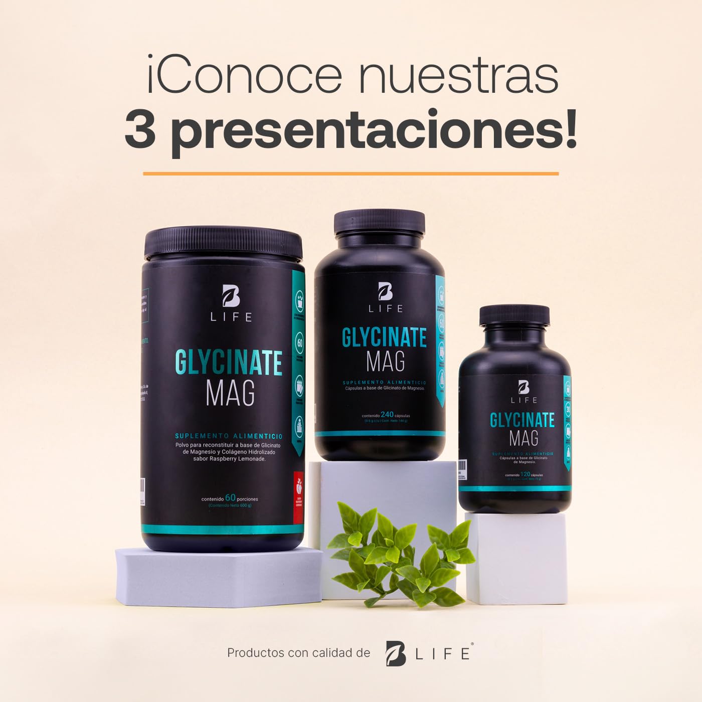 Glicinato de Magnesio en Polvo 60 Porciones Sabor Raspberry Lemonade. Glycinate Mag 600 Gramos. B Life