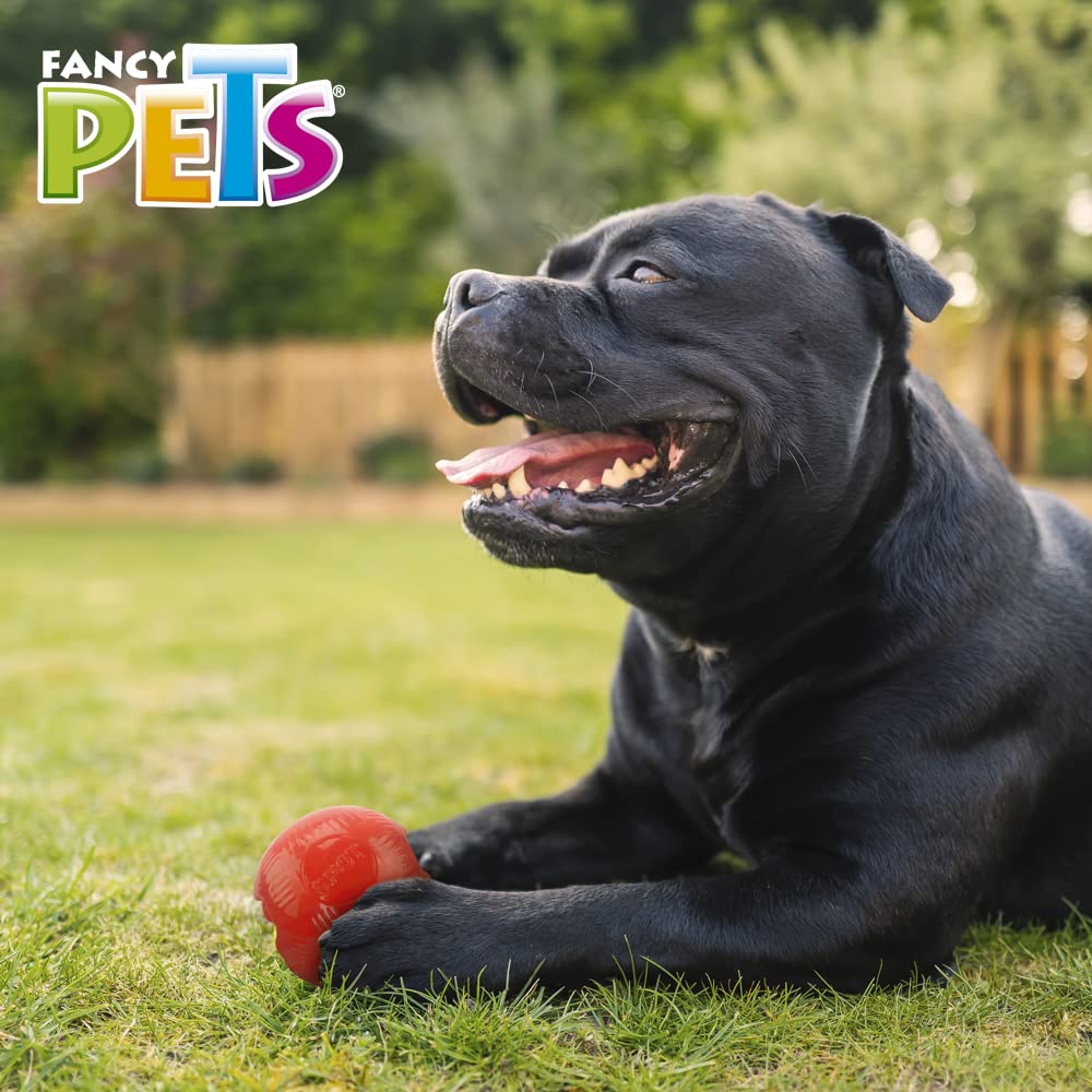 Juguete Bola Fancy Pets Xtreme Mediana para Perro