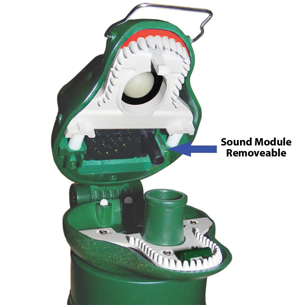 Sun Company RoarBottle - Botella de Agua T-Rex