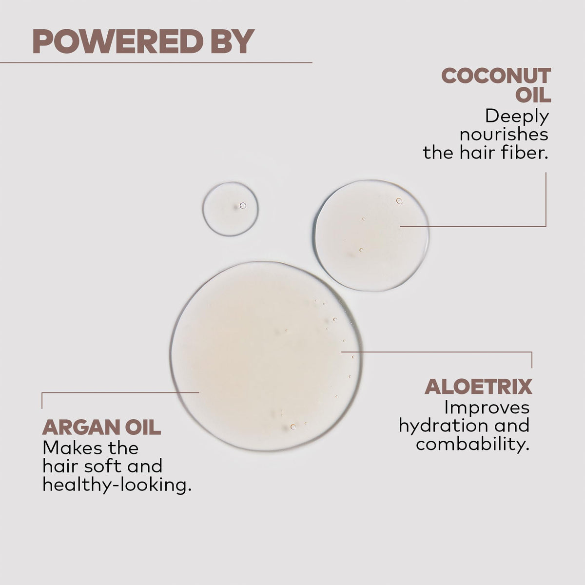 Alfaparf Yellow Nutritive Nourishing Champú 500 ml (Nuevo Modelo)
