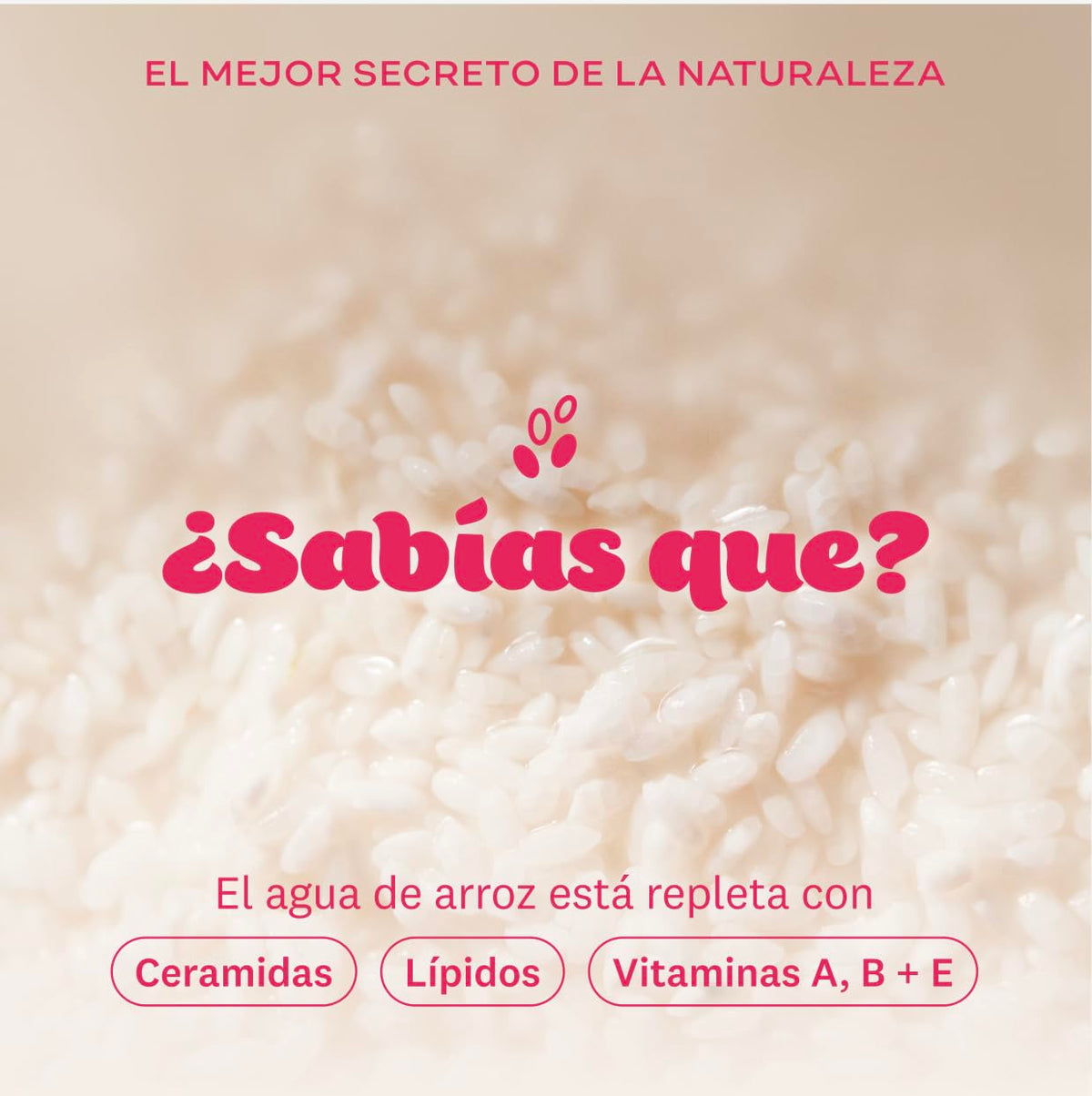 The Face Shop Rice Water Bright - Limpiador Facial en Espuma con Agua de Arroz | Skincare Coreano Iluminador | Limpieza Profunda, Hidratación y Efecto Glow | Textura Cremosa, the Face Shop, SKIN_CLEAN