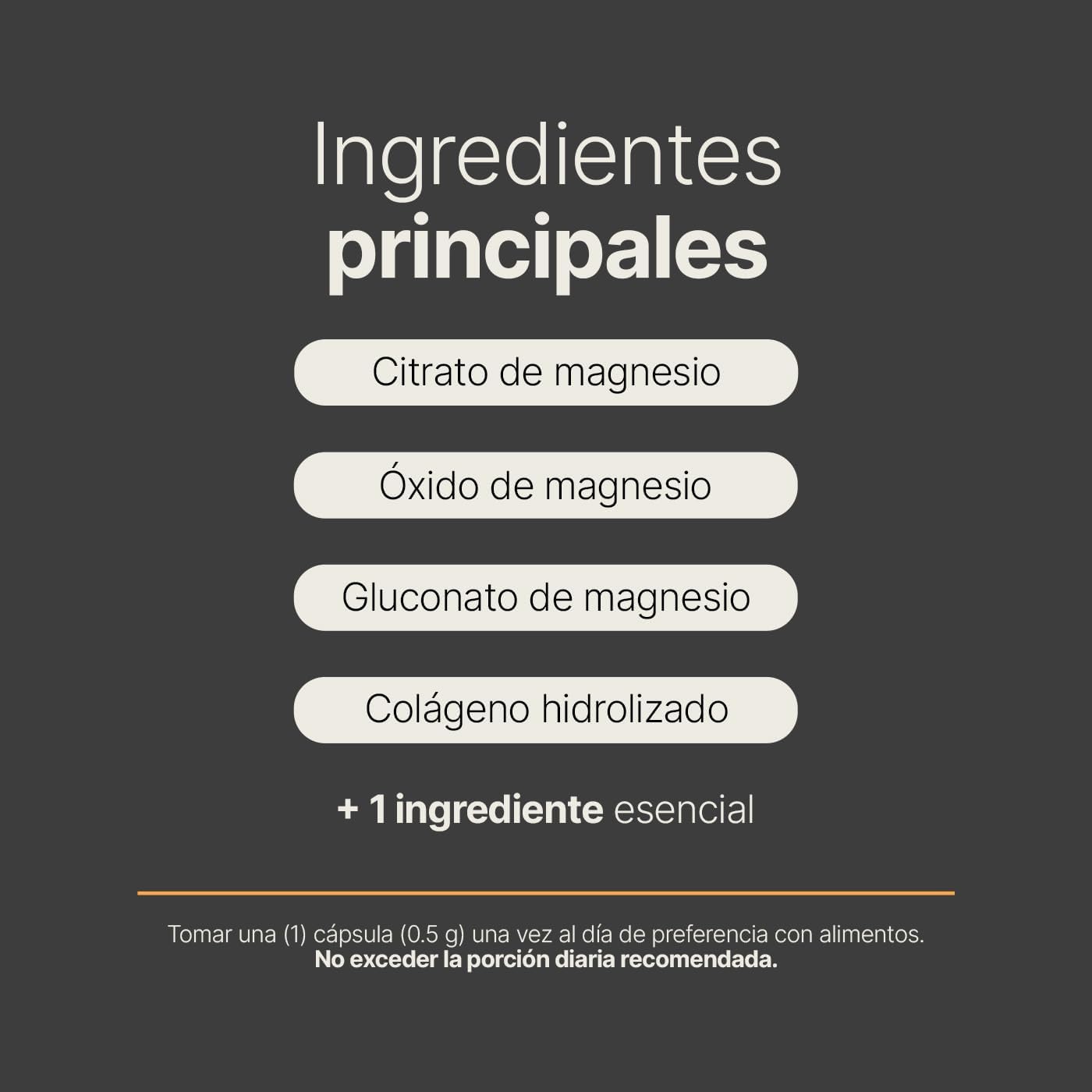 B Life Company | Citrato, Óxido y Gluconato de Magnesio | 220 Cápsulas de 500 mg | Alta absorción. Ingredientes Naturales. 3 Mag Blend.