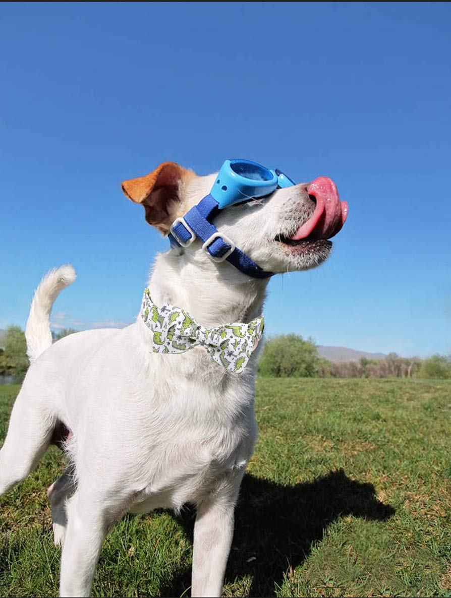 ARING PET Collar de perro con lazo, collar ajustable para perros pequeños, medianos y grandes