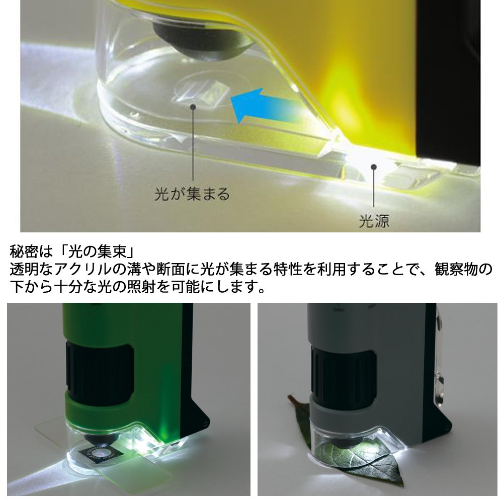 Microscopio Raymay Fujii DX gris práctico