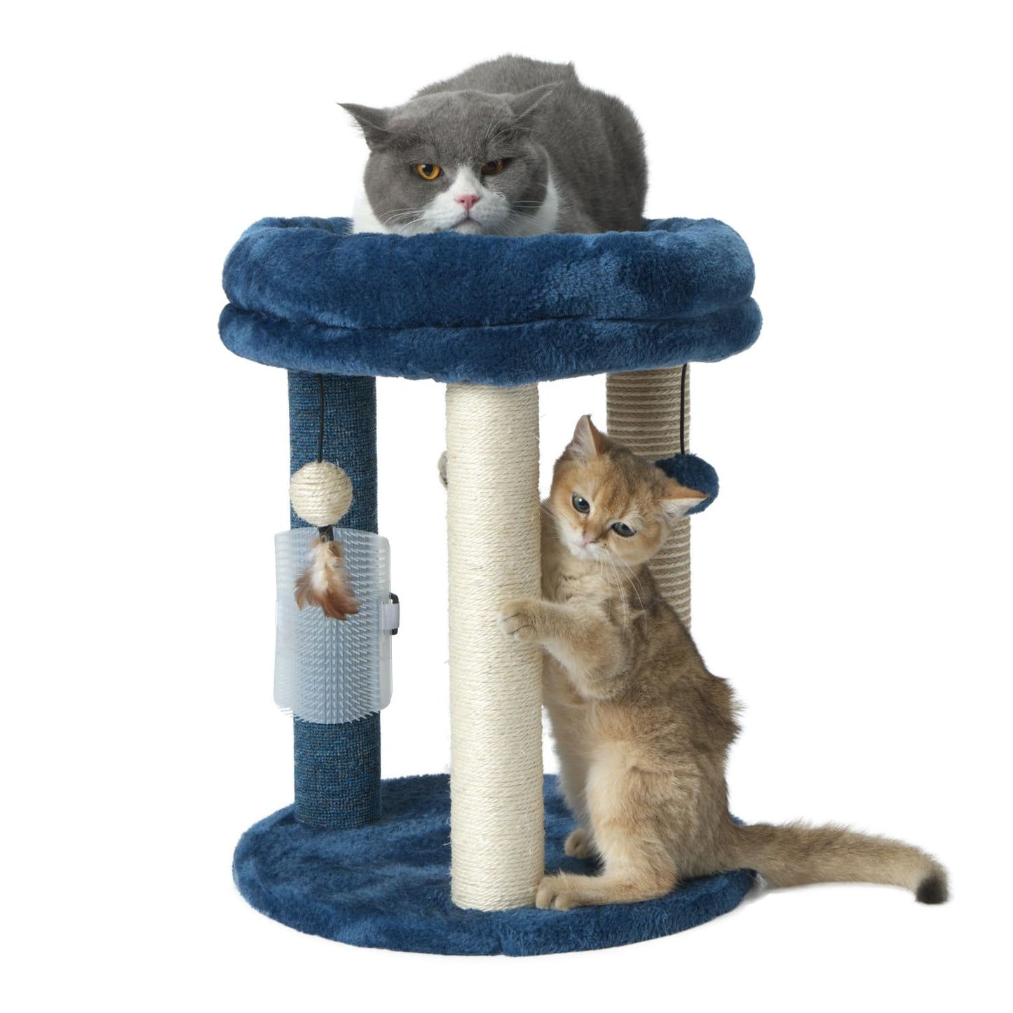 Árbol Rascador MECOOL Azul con Cama Suave y Juguetes para Gatos y Gatitos de Interior