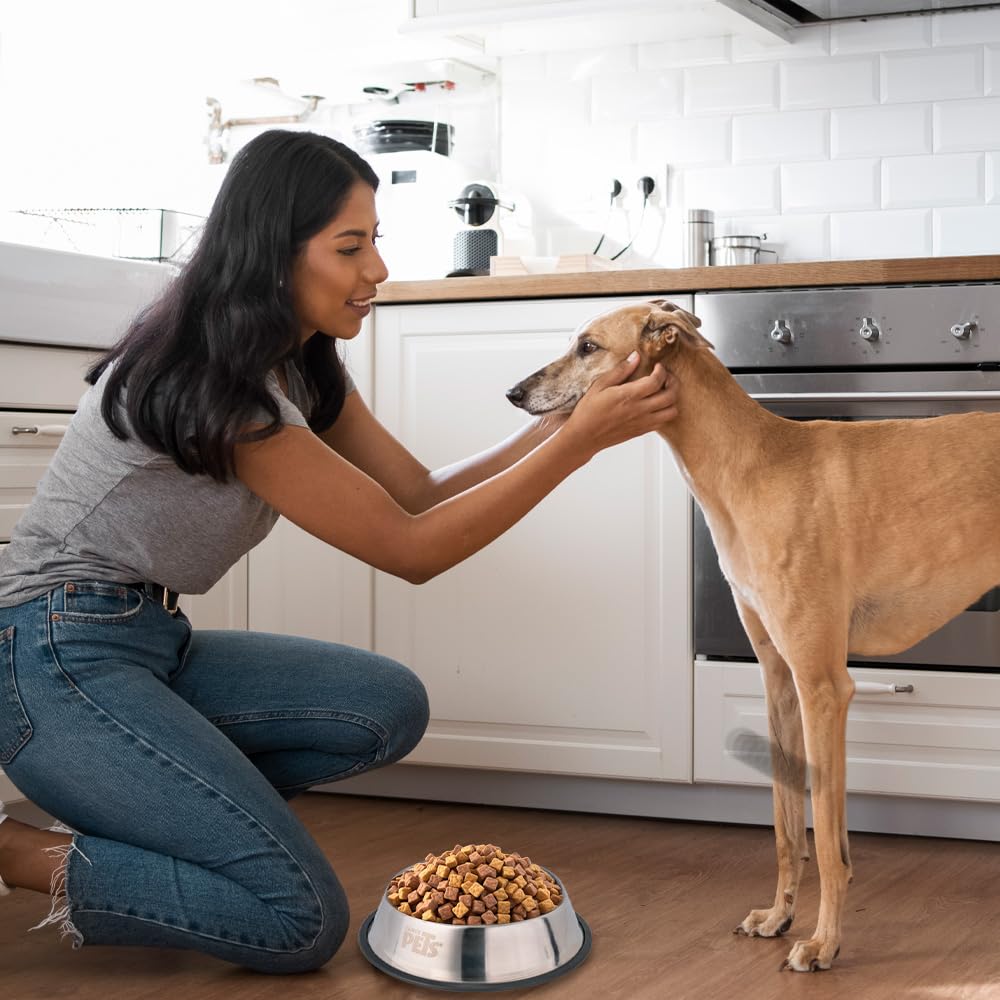 Fancy Pets Plato de Acero Inoxidable para Perro con 32 Onzas o 907 Gramos