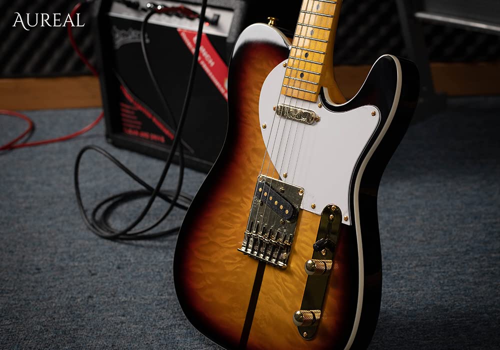 Aureal,Guitarra Eléctrica Gloss Kg-06 Con Funda, Alta Calidad