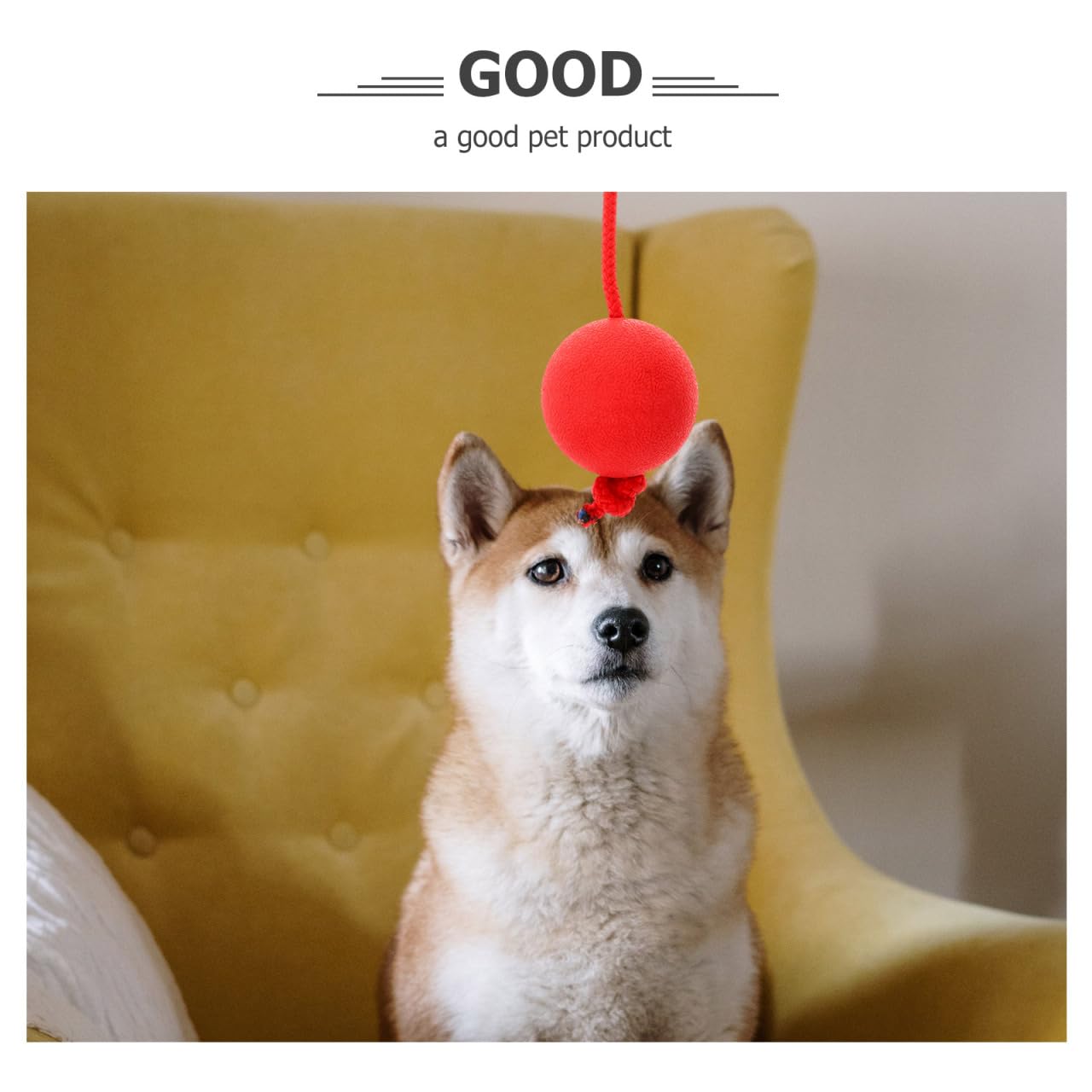 Ipetboom Cuerda y Bolas para Perros - Equipo De Entrenamiento De Agilidad, Tira y Afloja, Deportes y Pelota De Entrenamiento