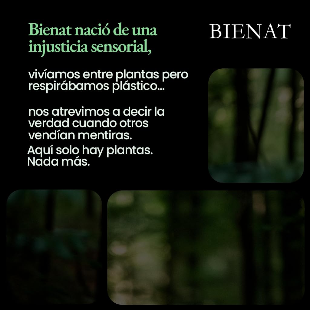 BIENAT AROMATERAPIA Aceite Esencial de Menta 30mL | 100% Puro y Concentrado | Ideal para Difusor de Aromas, Humidificador, Aromaterapia, Masajes, Meditación, Jabones y Velas | Esencia Natural en Gotas