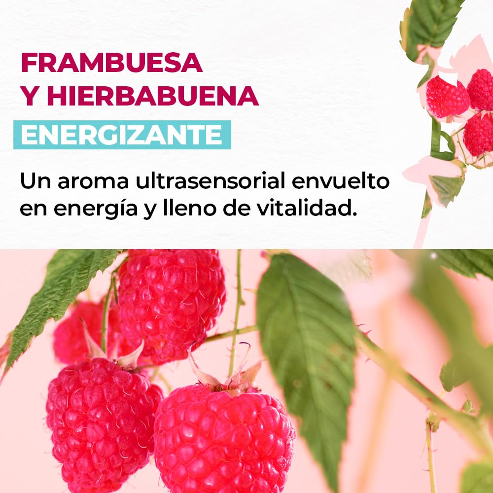 YVES ROCHER - Set Eco-Refill Gel de Ducha Frambuesa Hierbabuena, Todo Tipo de Piel, Fórmula Vegana, Incluye 2 Geles 600 ml c/u