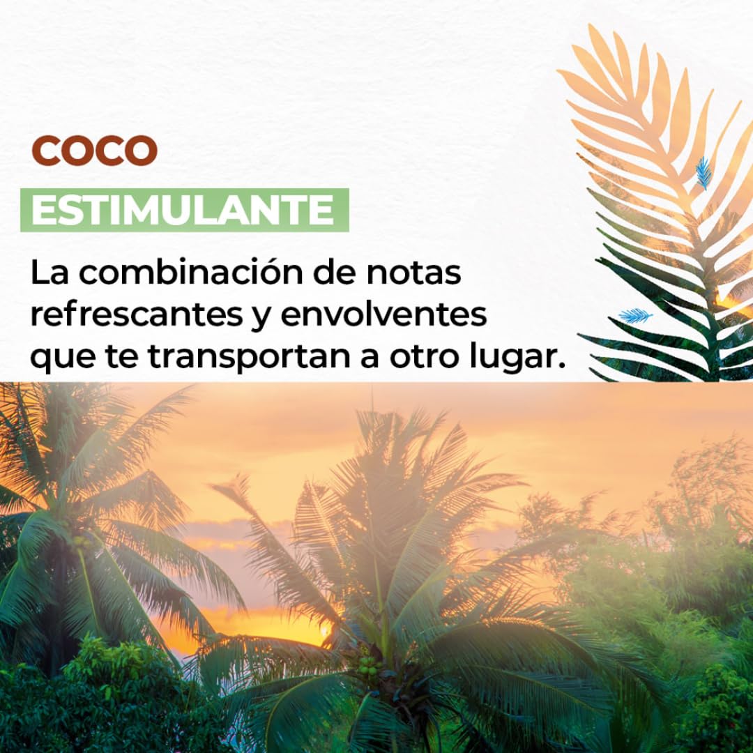 Yves Rocher 4 PACK jabón líquido para manos aromas RELAJANTES - RECONFORTANTES: Vainilla Francesa + Avena y Trigo Sarraceno + Coco + Oliva y Naranjo Amargo (190 ml C/U)