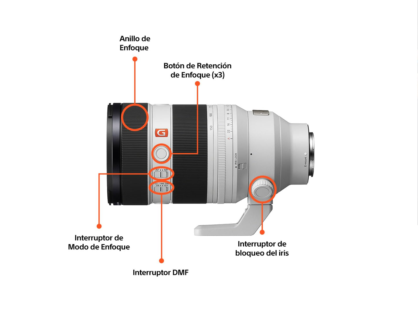 Sony FE 50-150 mm F2 G Master™ Lente Zoom teleobjetivo I SEL50150GM