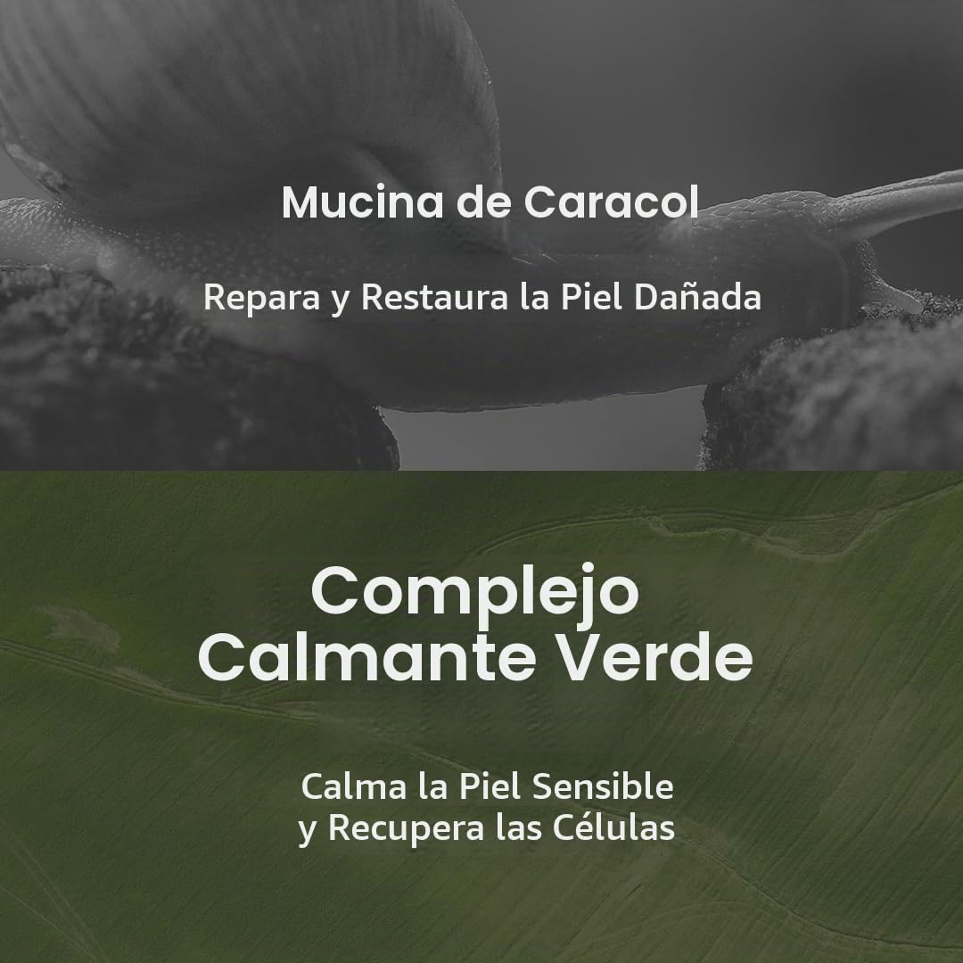 MIZON Crema Hidratante Facial All In One Snail Repair 35 ml - crema para la cara coreana con baba de caracol, skincare coreano día y noche, k beauty
