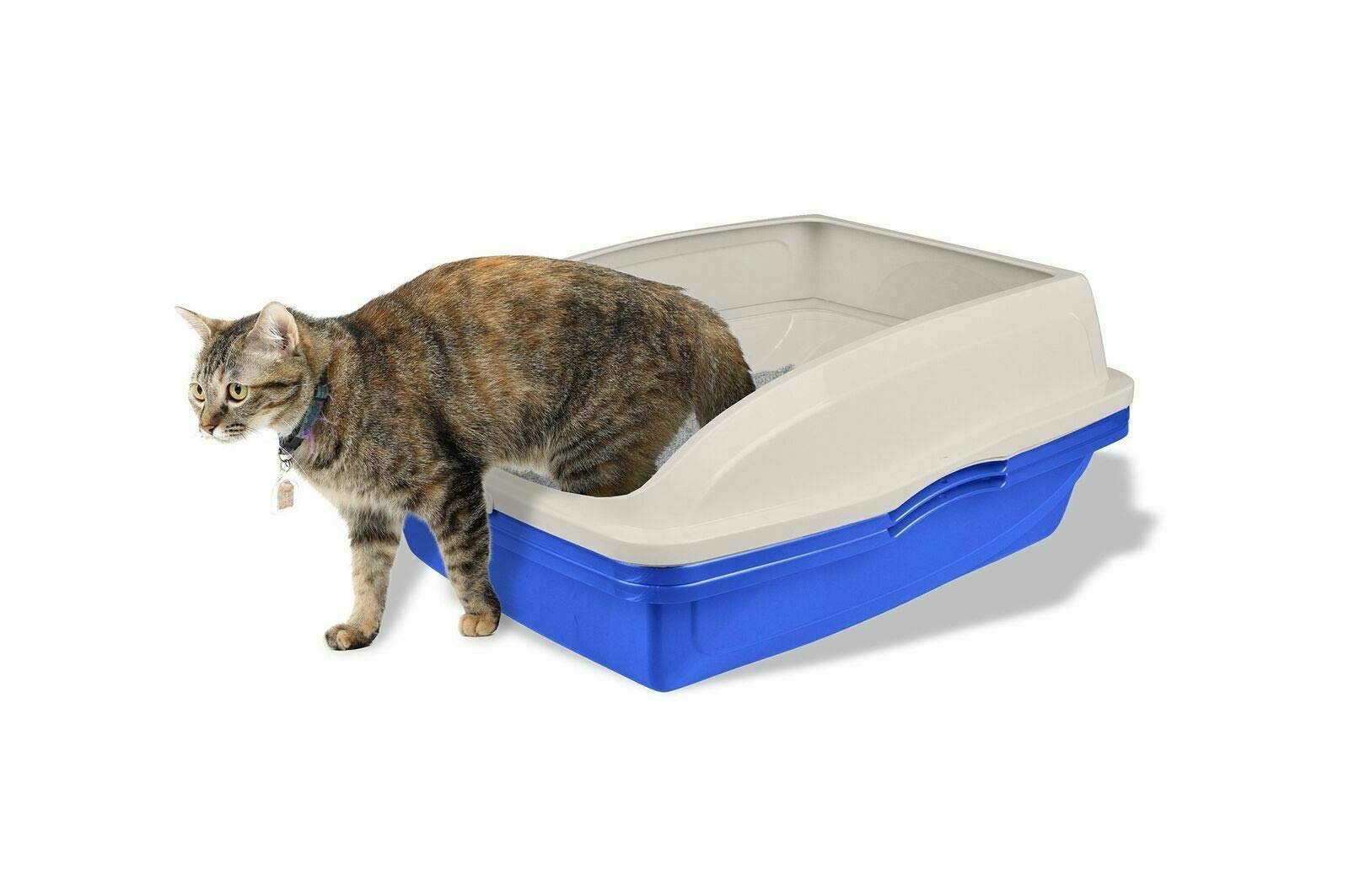 Caja de Arena Van Ness Azul Gris con Marco para Gatos
