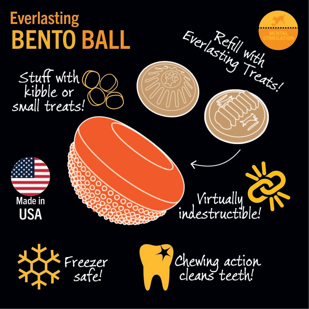 Juguete Masticable Starmark Everlasting Treat Bento Ball Mediano para Perro