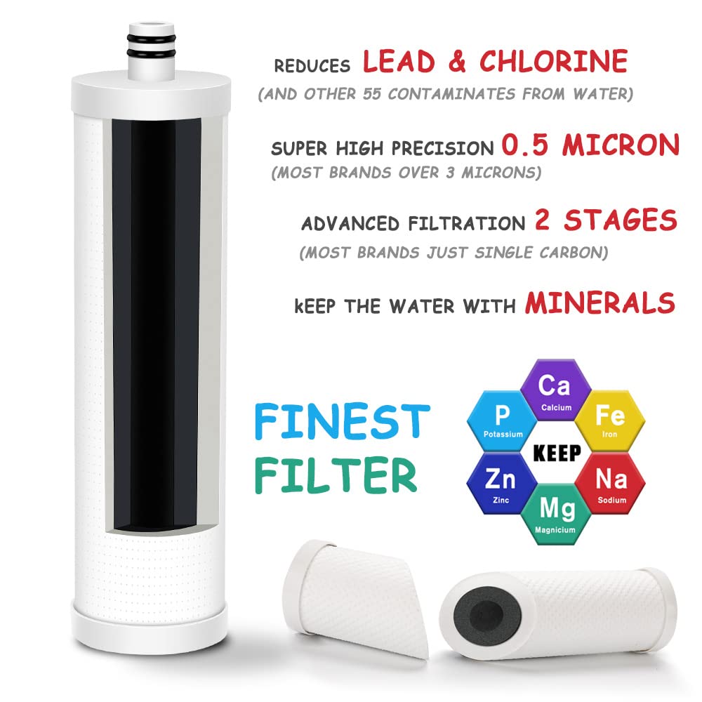 Frizzlife FZ-2 - Cartucho de filtro de repuesto para MP99, MK99, MS99 filtro de agua debajo del fregadero y filtro MV99 RV