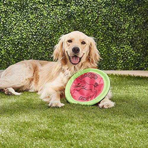 Booda Chuckit! Petmate Tail-Spin Flyer Flotante para Perro, Multi, 10 Pulgadas