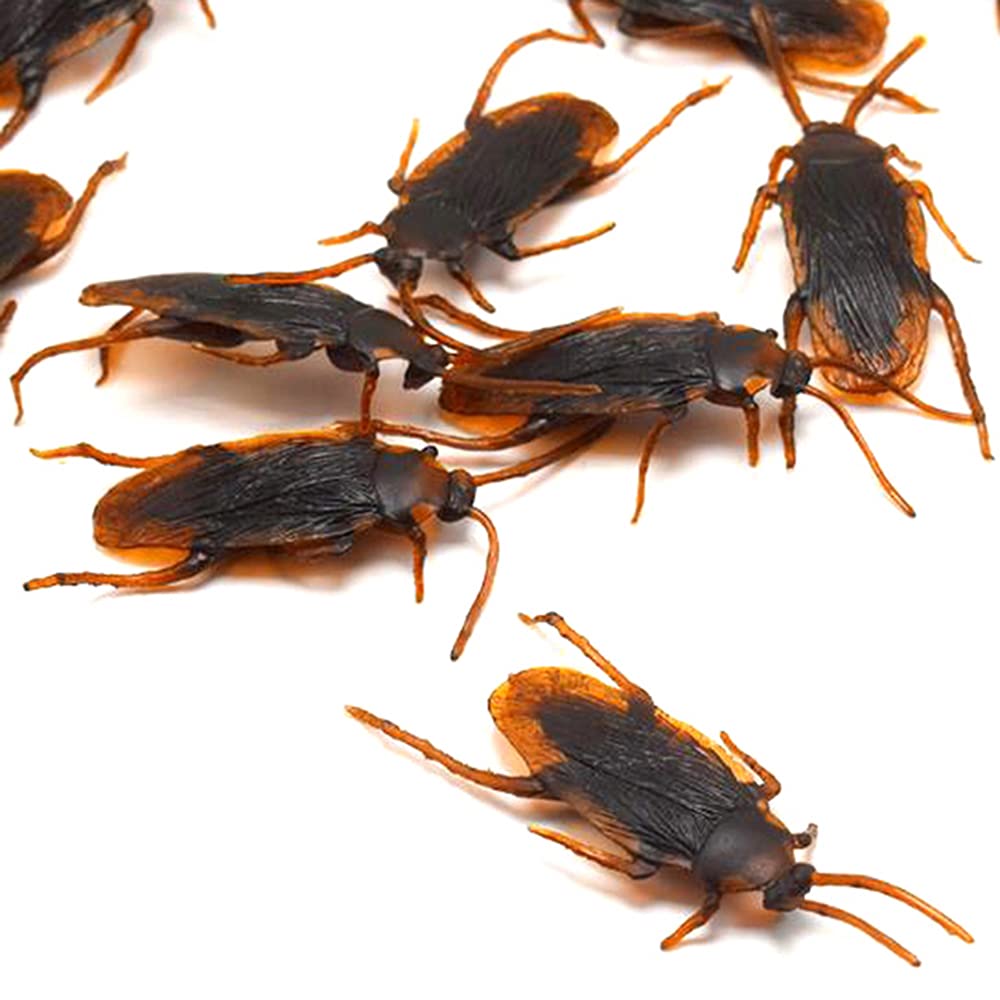 Cenyo GUDVES Prank Fake Roaches Model Simulation Fake Rubber Cockroach Roach Bug Roaches Toy Prank Funny Trick Joke Toys Plastic Bugs (10 unidades)