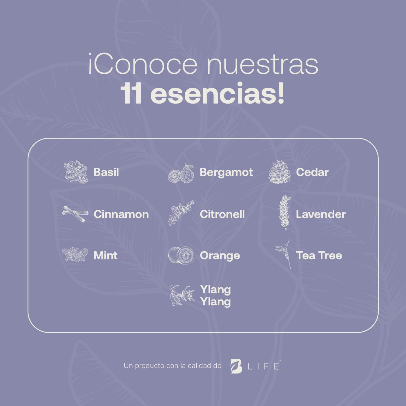 Aceite Esencial B Life Eucalipto Ingredientes Puros y Naturales 50 ml