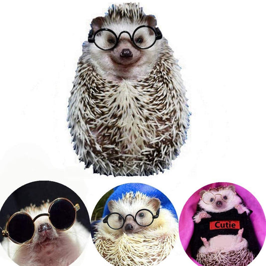HAICHEN TEC 3 Lentes de Montura Redonda de Erizo, para Erizo, ratón, hámsteres, Juguete de Animales pequeños, Regalo para sesión de Fotos, Accesorio de Ropa para Mascotas (2.16 Pulgadas)