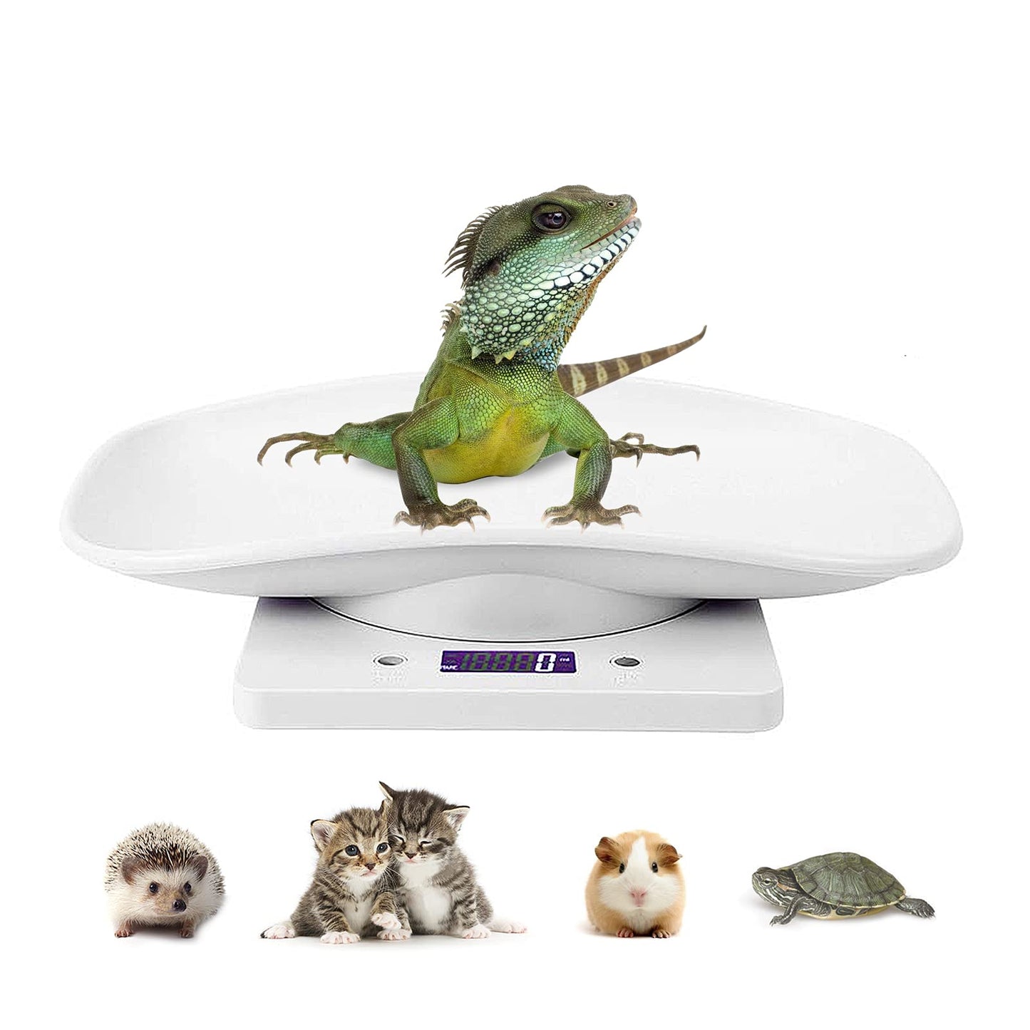 Báscula digital para mascotas, con pantalla LCD, báscula electrónica para alimentos, mini precisión gramos, balanza de equilibrio de peso con alta precisión g/ml/oz/lb para perros, gatos, hámsteres, tortugas, lagartos, animales pequeños