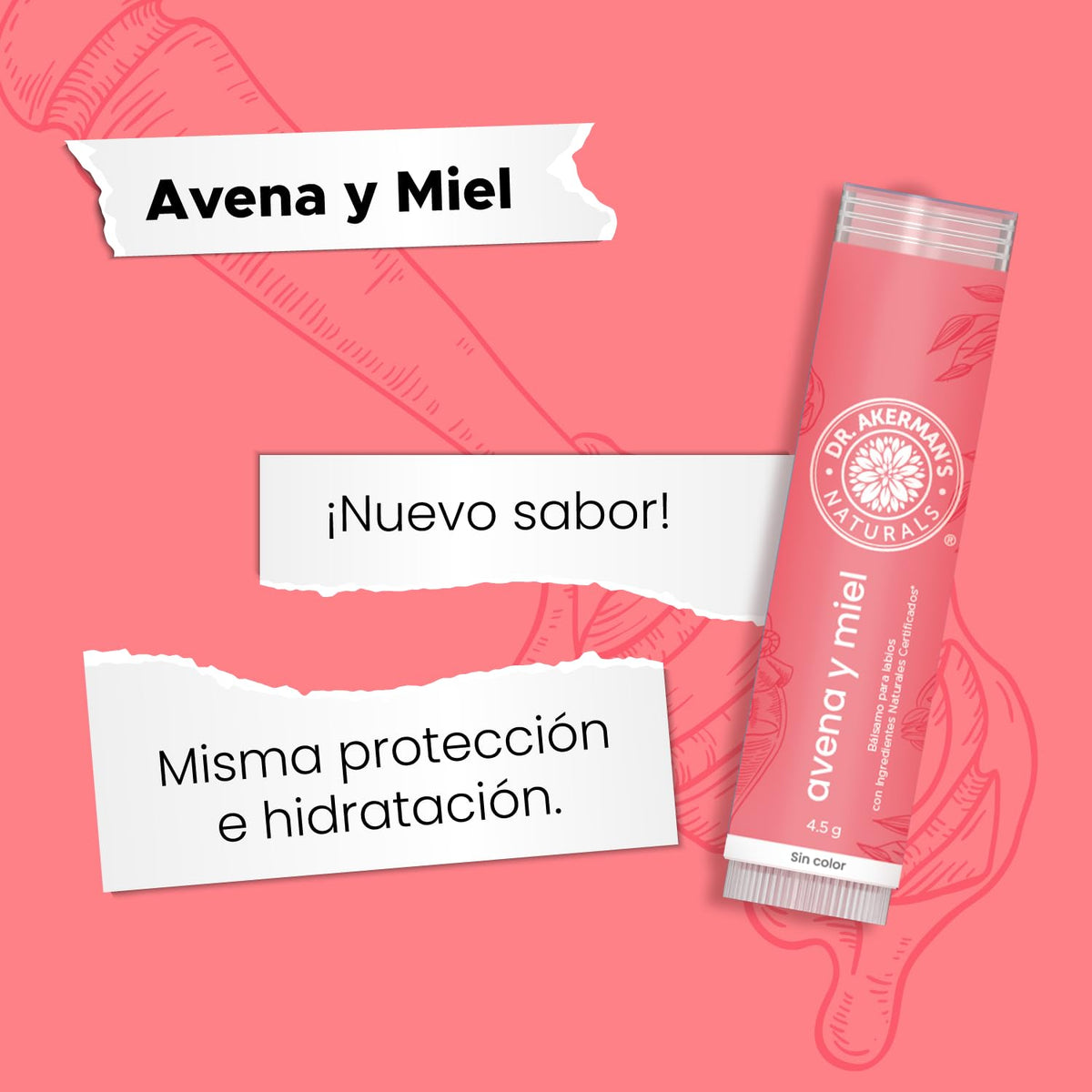 DR. AKERMAN'S NATURALS, Bálsamo Labial Natural Humectante, Pack de 5 Sabores Mixtos, Protección e Hidratación Diaria, 4.5g Cada Uno (1)