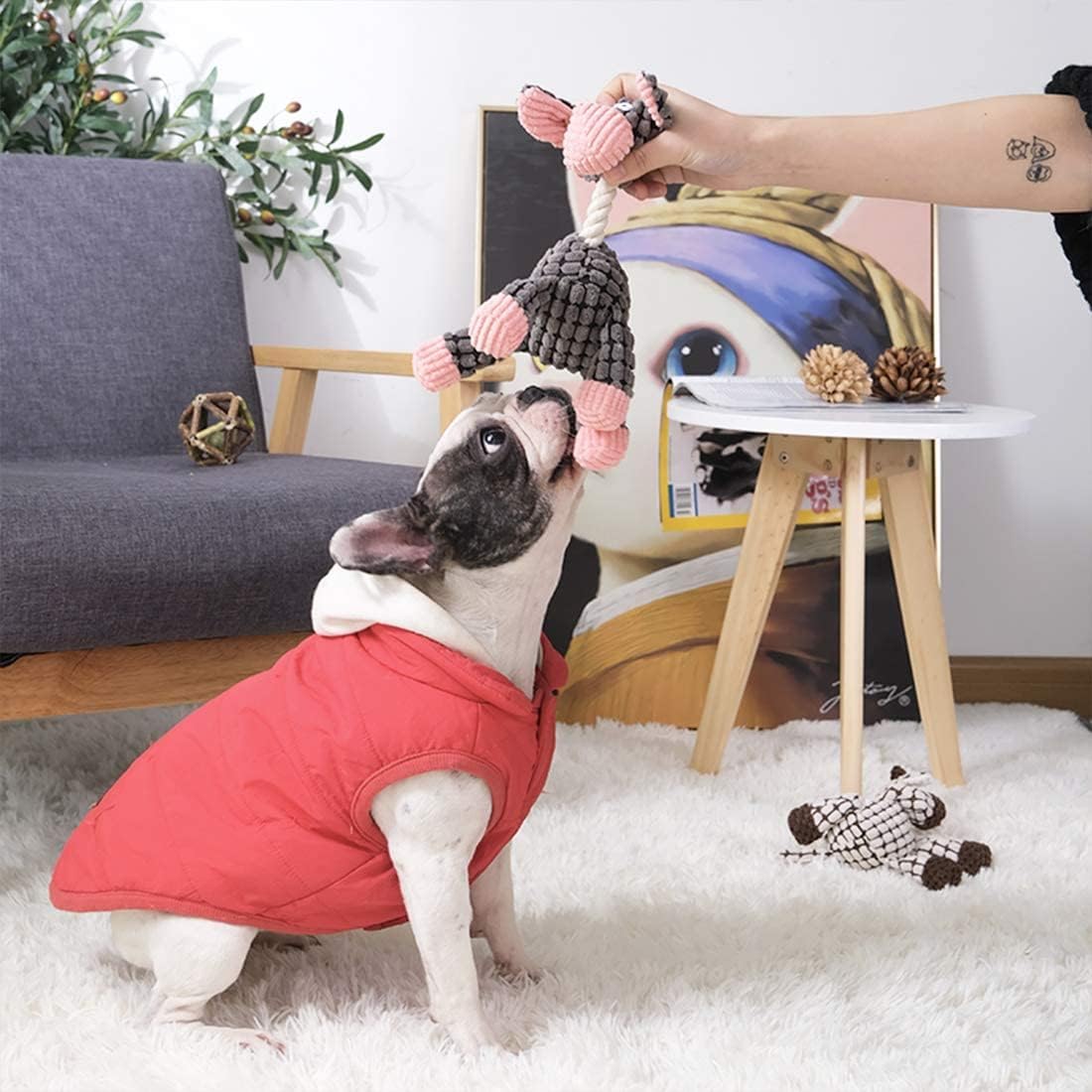 Juguetes para Perro, Peluche Juguetes para Perros Ansiosos, Juguetes Interactivos para Perro de Cuerda Duradera, Perros Juguetes para Medianos-Burro, Perro y Oveja (3 Pack)