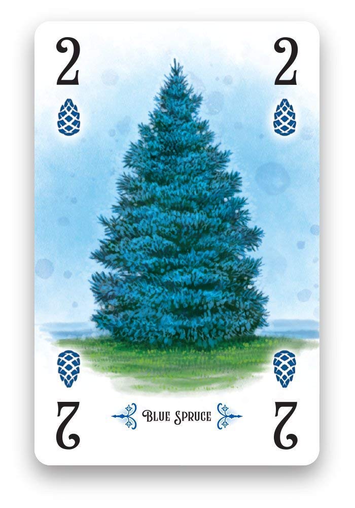 Juego de Cartas Strategy Arboretum Renegade Game Studios Que desafía a 2 a 4 Jugadores para Crear el jardín más Hermoso