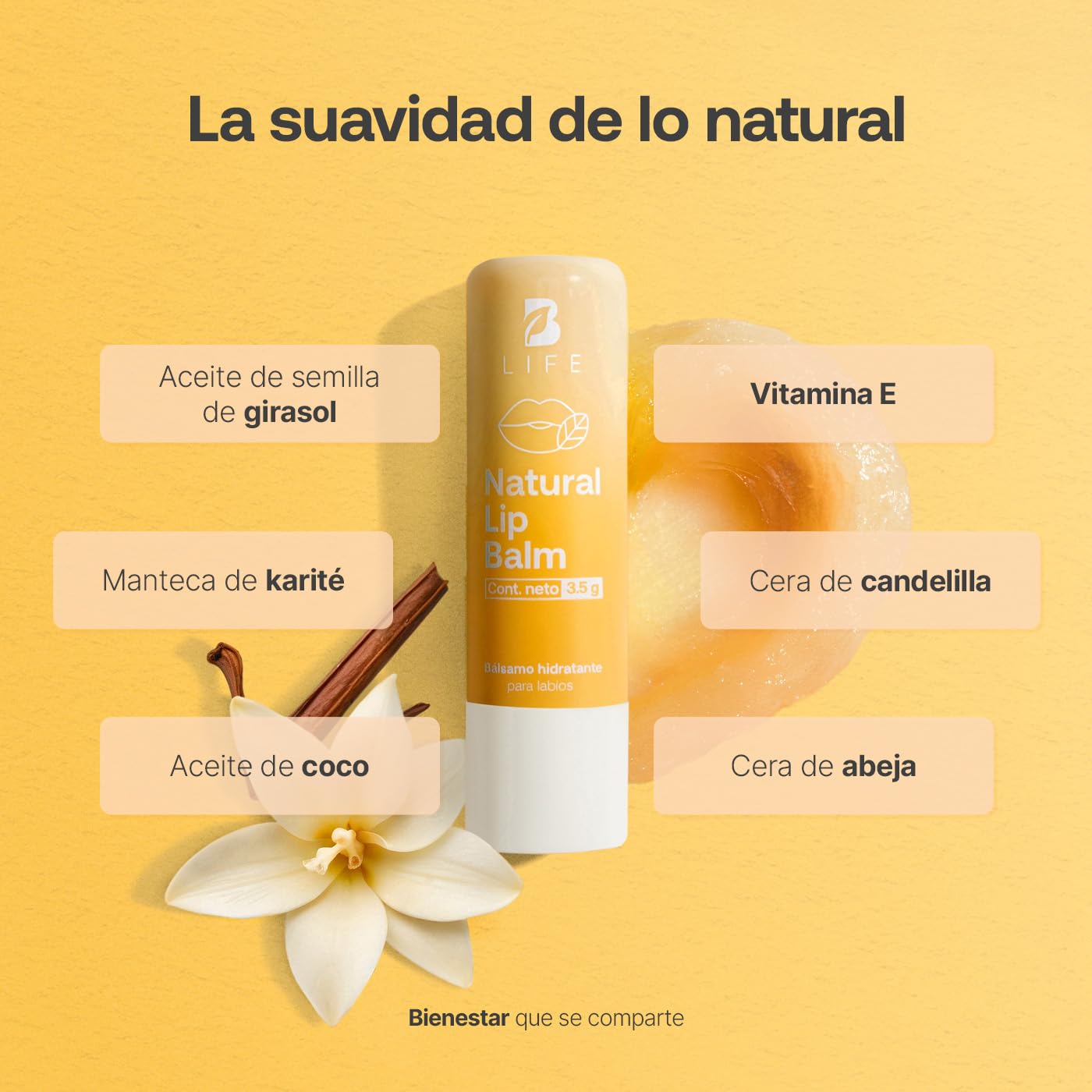 B Life | Kit De 6 Bálsamos Labiales En Barra | Aroma a Menta, Cítricos, Vainilla, Chicle, Cereza y Café | Con Vitamina E | Natural Lip Balm.