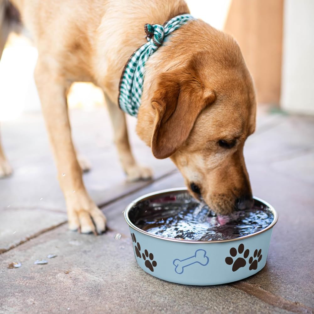 Loving Pets Bella Bowl Dog Bowl, Medium, 750 ml, Murano Blue
