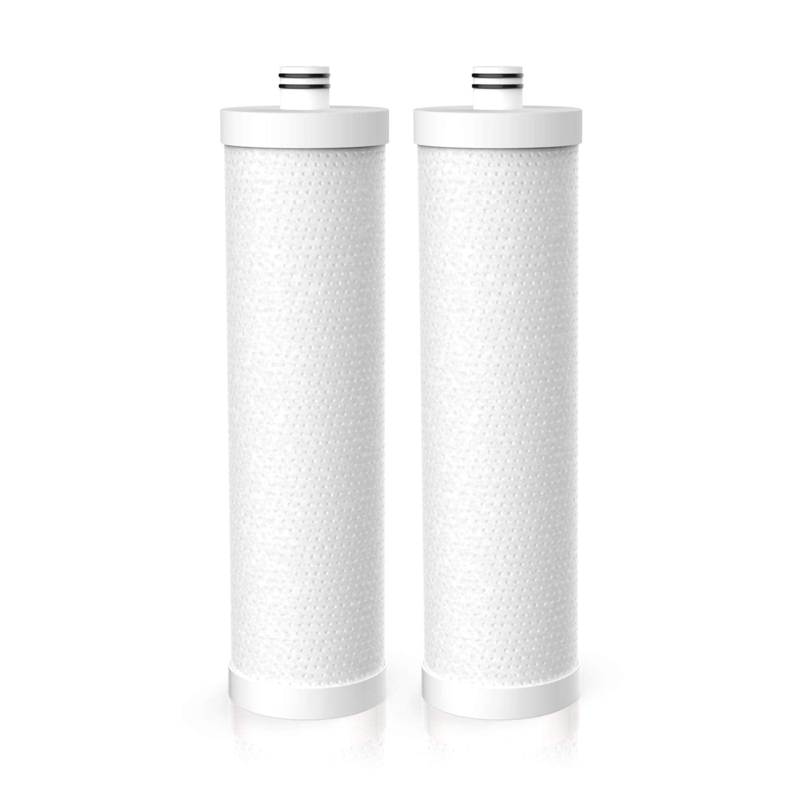 Frizzlife FZ-2 - Cartucho de filtro de repuesto para MP99, MK99, MS99 filtro de agua debajo del fregadero y filtro MV99 RV - Paquete de 2