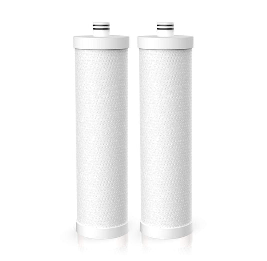 Frizzlife FZ-2 - Cartucho de filtro de repuesto para MP99, MK99, MS99 filtro de agua debajo del fregadero y filtro MV99 RV - Paquete de 2