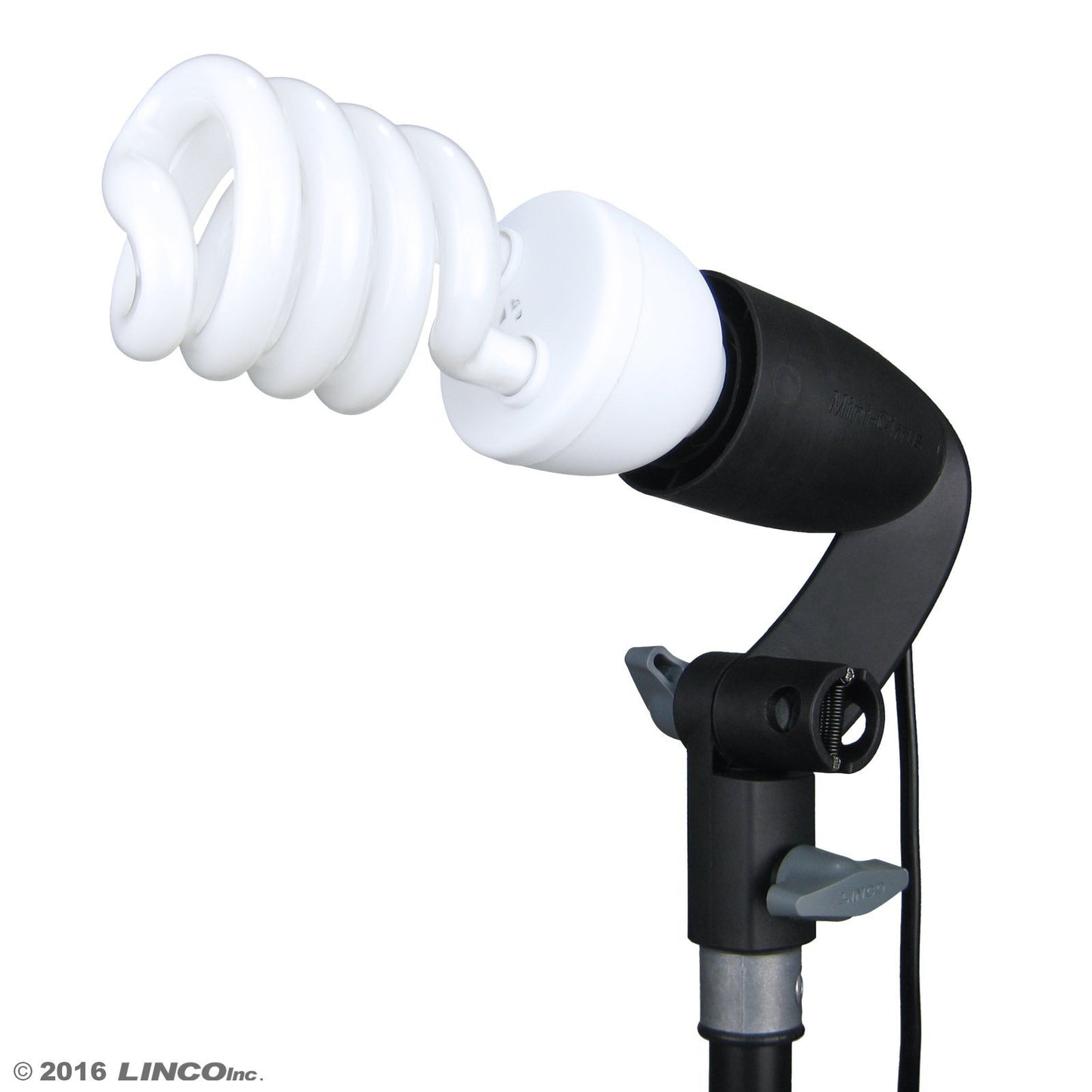 LINCO Lincostore 600W Photography Photo Video Portrait Studio Day Light Umbrella Continuous Lighting Kit AM153