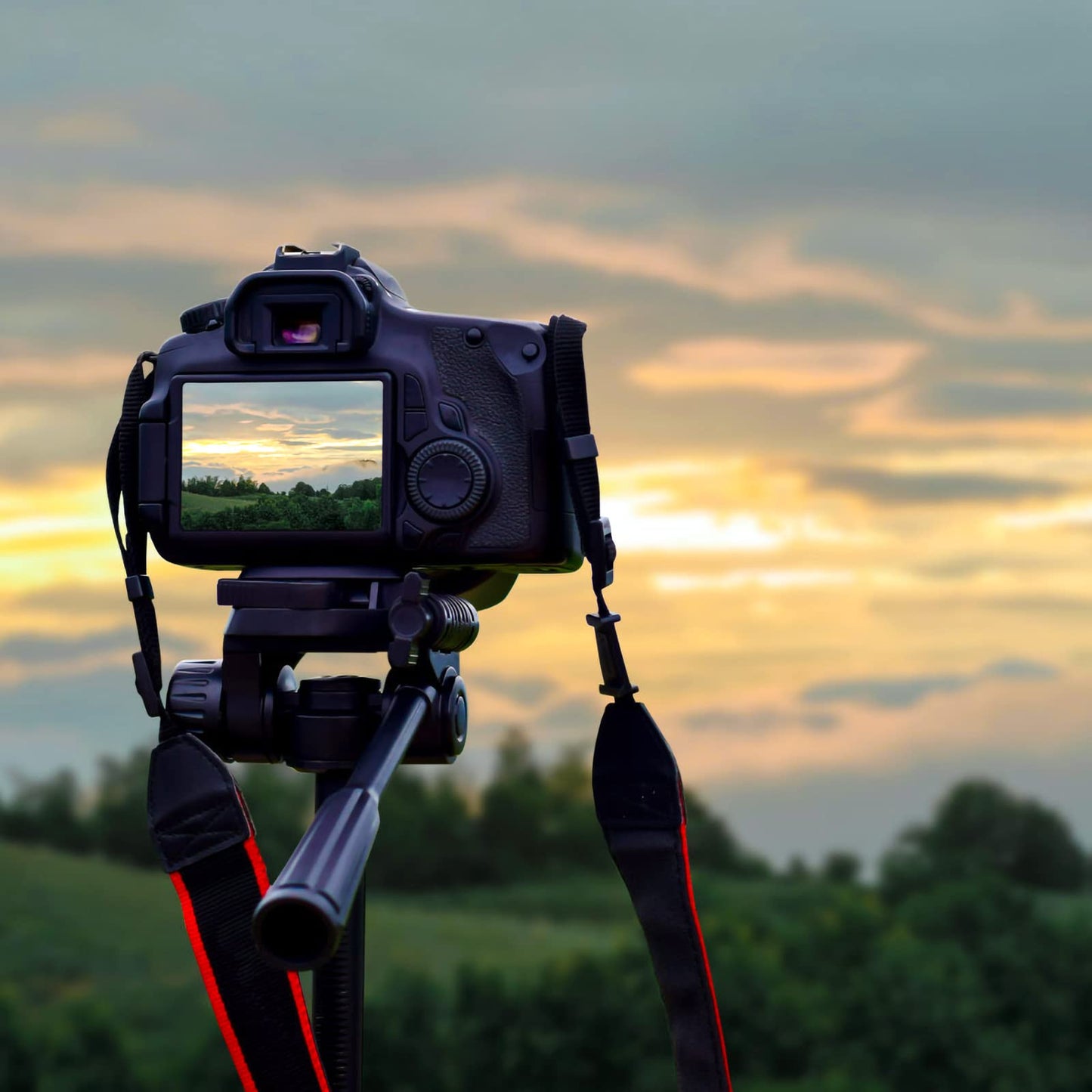 Batería Recargable de Iones de Litio ENEGON NP-FZ100 Compatible con Sony A6600, A7C, A7III y Más, 2800 mAh