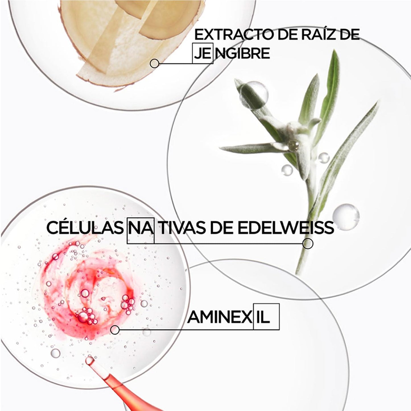 KÉRASTASE Sérum Anti-Chute Fortifiant | Frena la caída diaria del cabello y protege de las agresiones externas | Con Aminexil 1.5%, Arginina, Cafeína y Raíz de Jengibre | 90ml