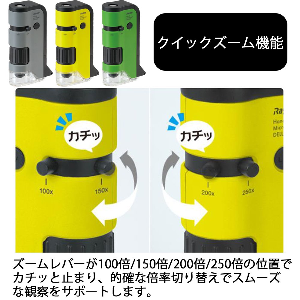 Microscopio Raymay Fujii DX gris práctico