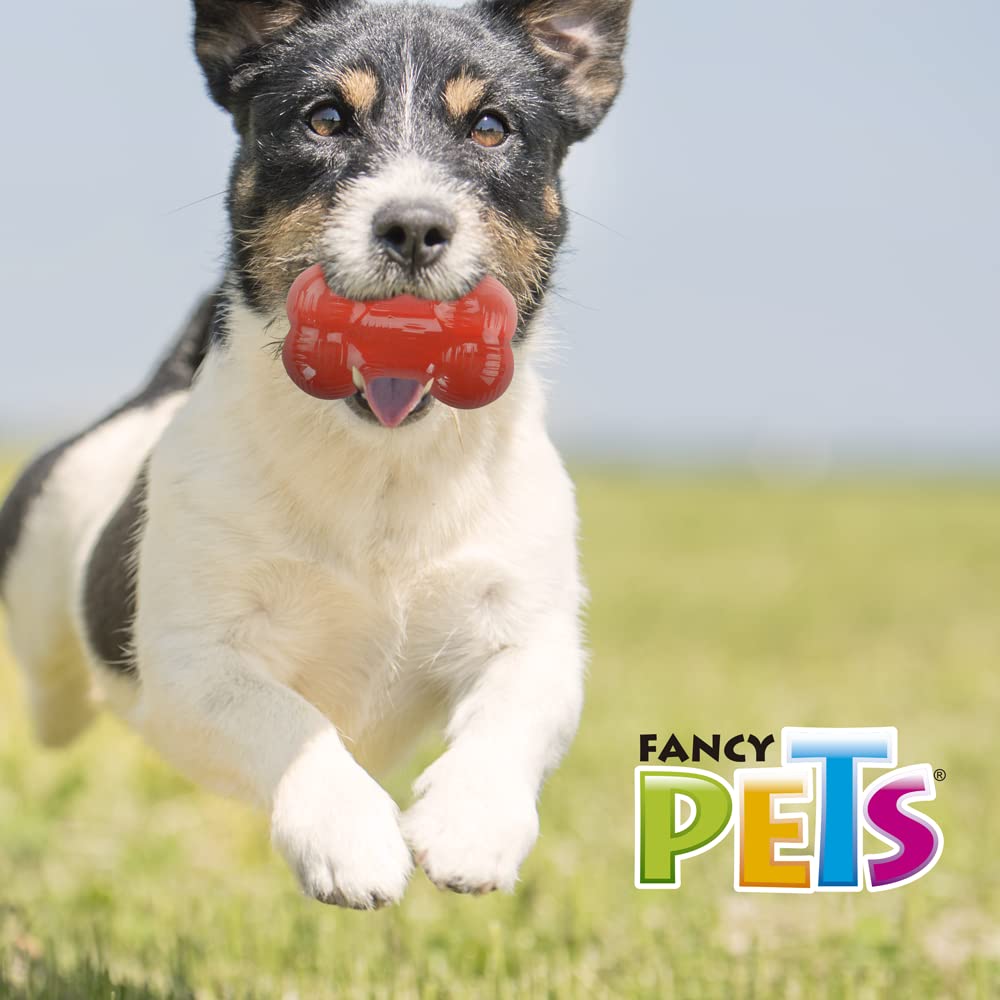 Juguete Hueso Fancy Pets Xtreme Rojo Chico para Perro