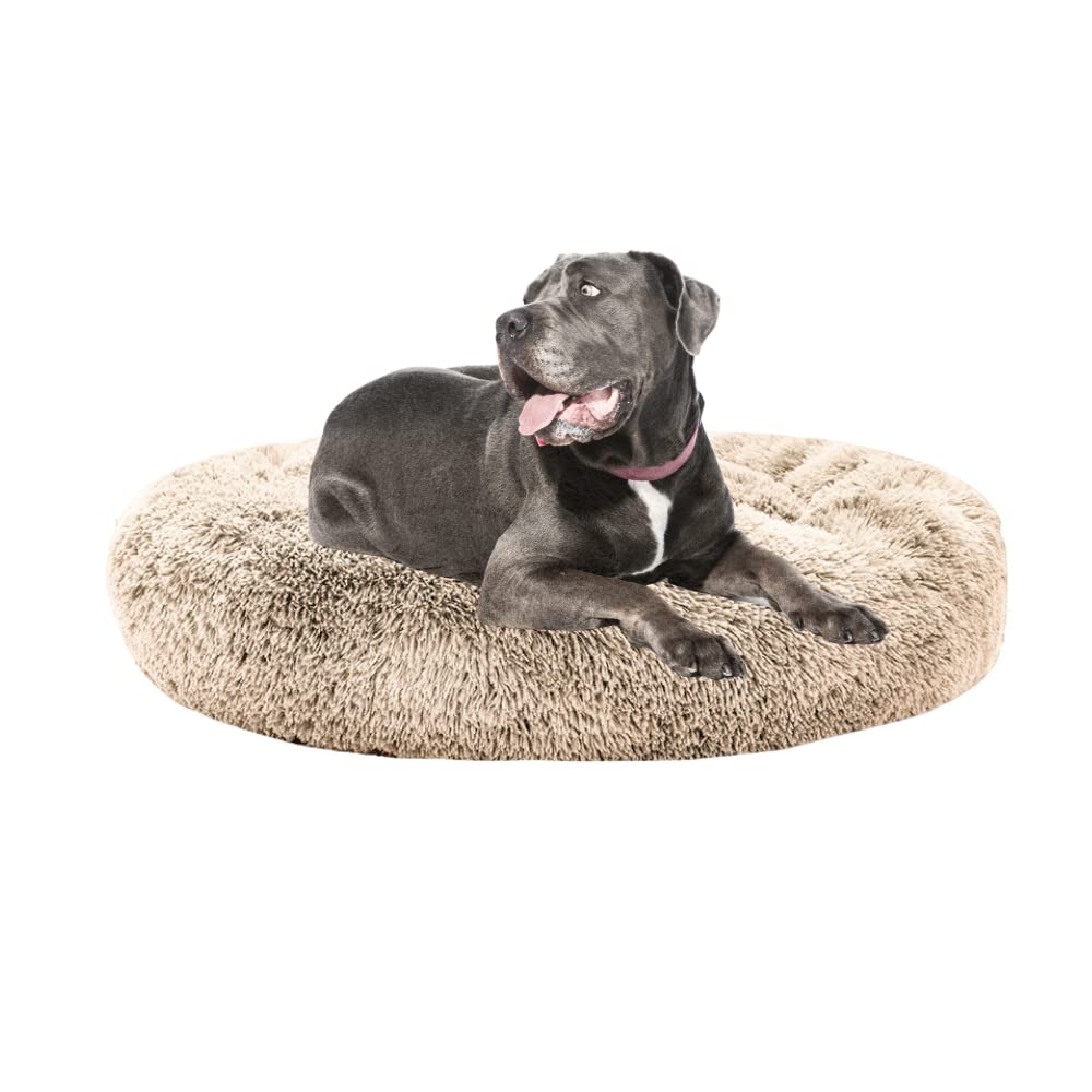 Cama para Perros PET TO BED Beige Antiestrés Redonda Esponjosa Large