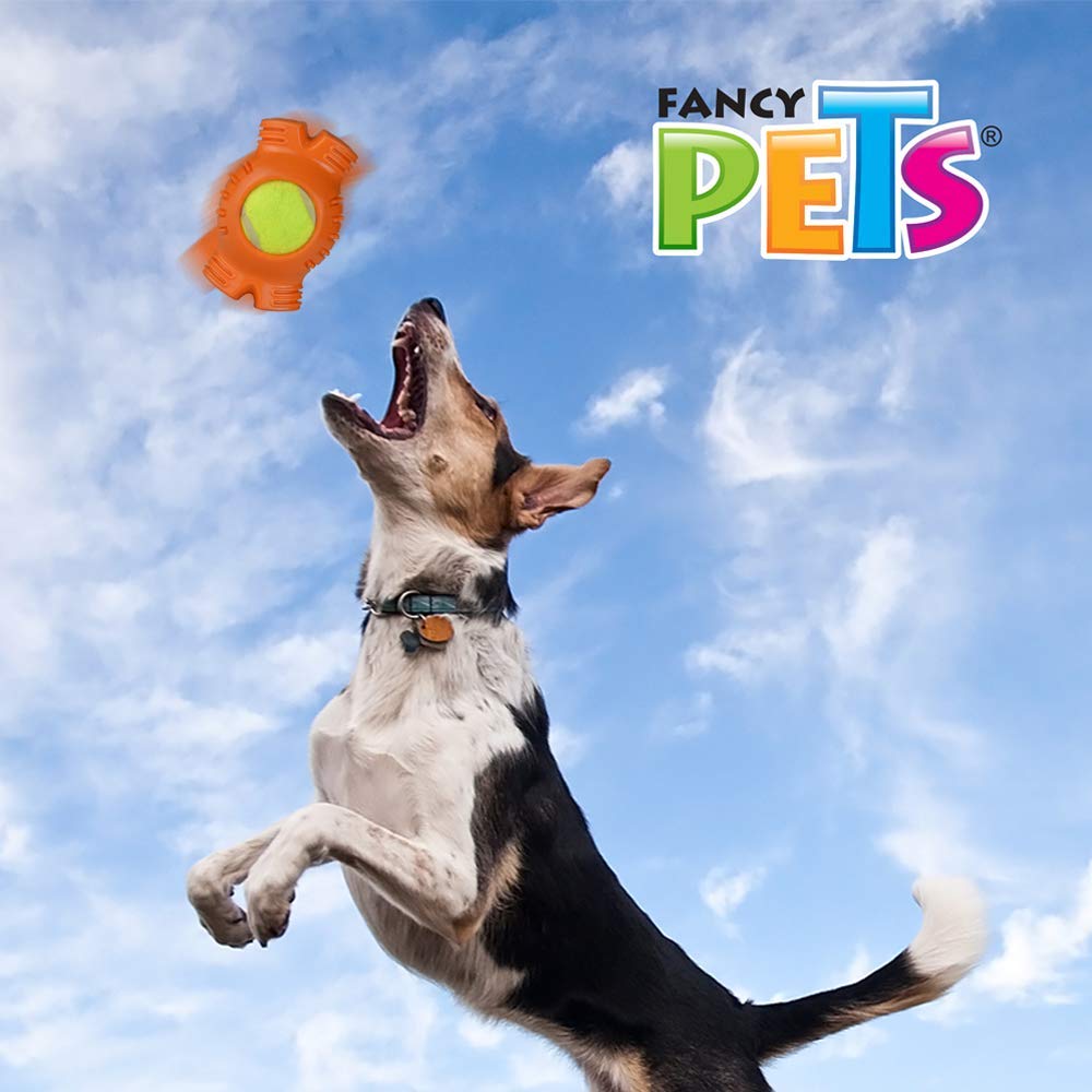Juguete Hueso Fancy Pets Verde con Pelota de Tenis para Perro