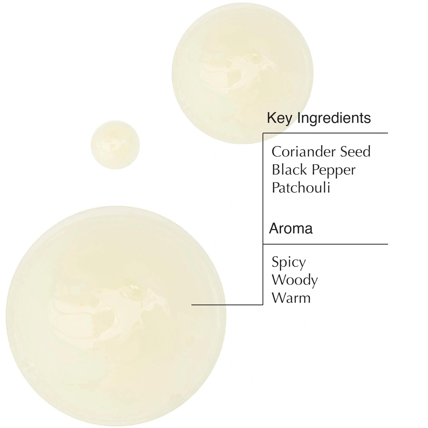 Aesop Coriander Seed Body Cleanser, 16.9 Ounce