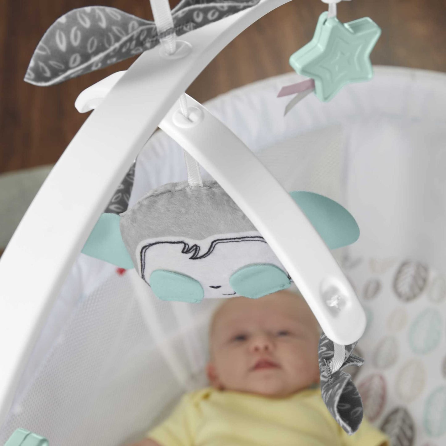 Fisher-Price - Moisés de noche para bebé con movimientos calmantes y luces para recién nacidos de más de 0 meses, Sweet Snugamonkey
