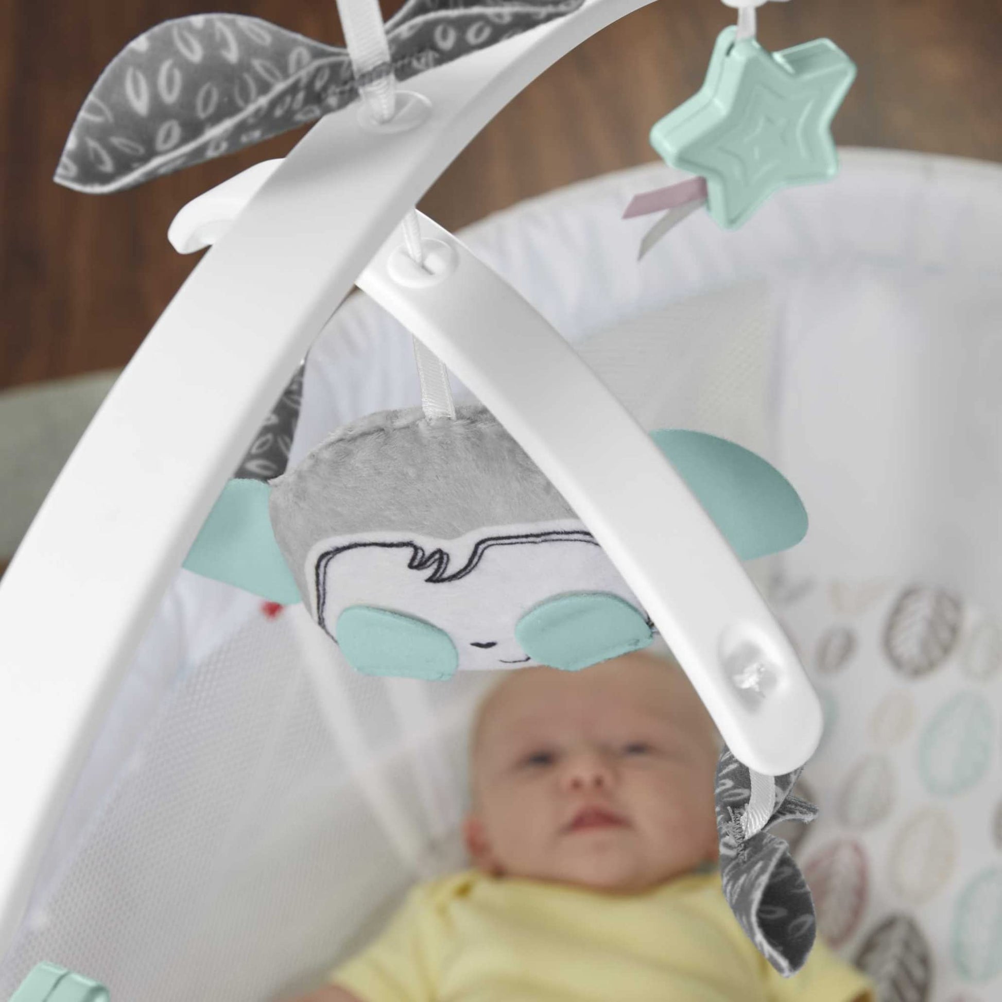 Fisher-Price - Moisés de noche para bebé con movimientos calmantes y luces para recién nacidos de más de 0 meses, Sweet Snugamonkey