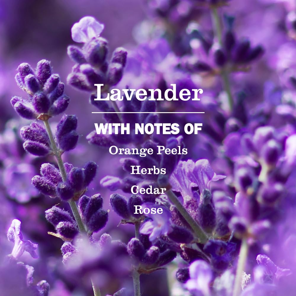 Mrs. Meyer’s Refill Jabón de Manos Líquido Lavanda, 975 ml | Repuesto Ecológico con Aroma Relajante | Fórmula Suave de Origen Vegetal | Sin Parabenos ni Crueldad Animal | Ideal para Uso Diario