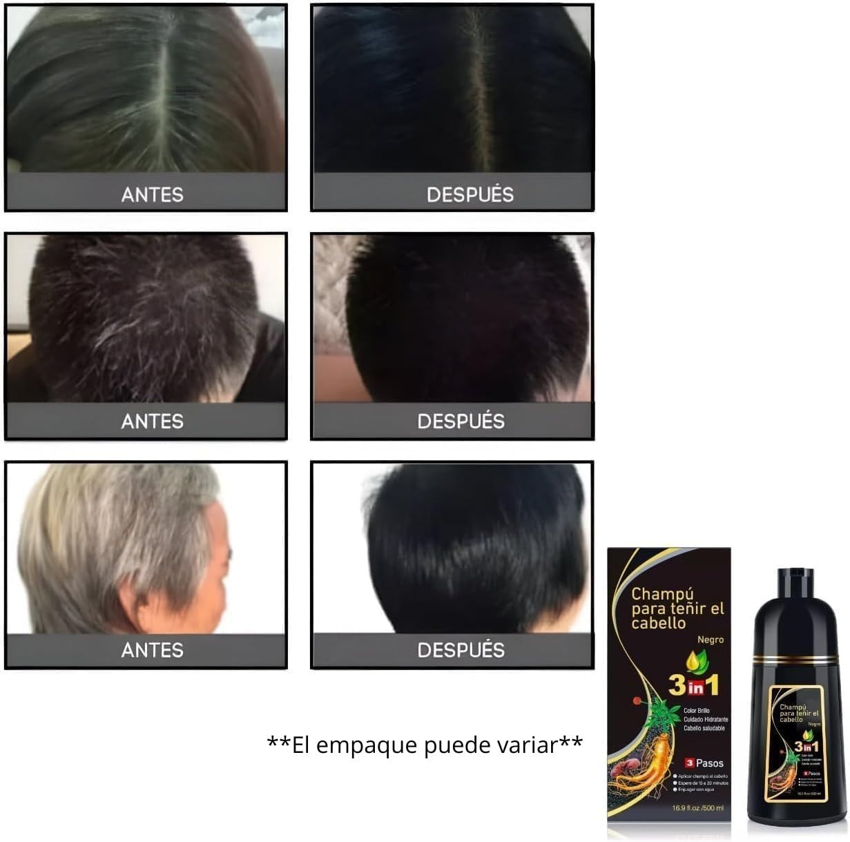Negro- Shampoo Tinte Instantaneo Para Cabello Cubre Canas Natural Jengibre 500Ml Más 5 Sobres 30Ml C/U (150G) - Champú Instant Hair Color Para Teñir El Cabello 3 En 1 Coloración Con Hierbas Unisex (650Ml)